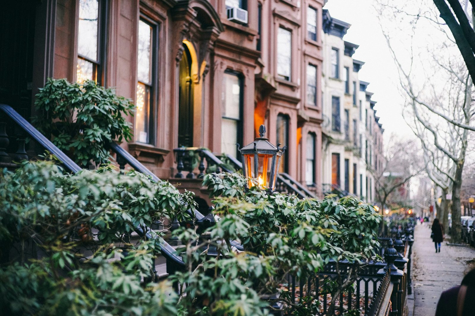 Brownstone stoops and bare branches along a tree-lined street
