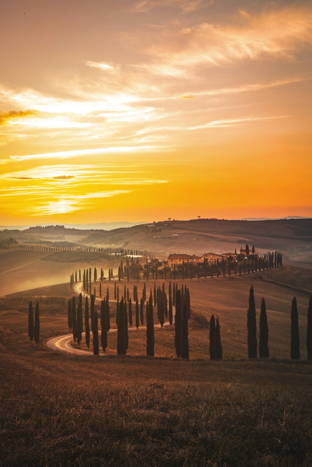 Golden sunset over rolling hills with a road lined with cypresses