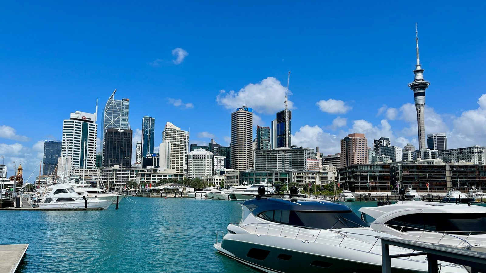 Motor yachts and a sailing boat in a marina, with the Sky Tower and city towers beyond